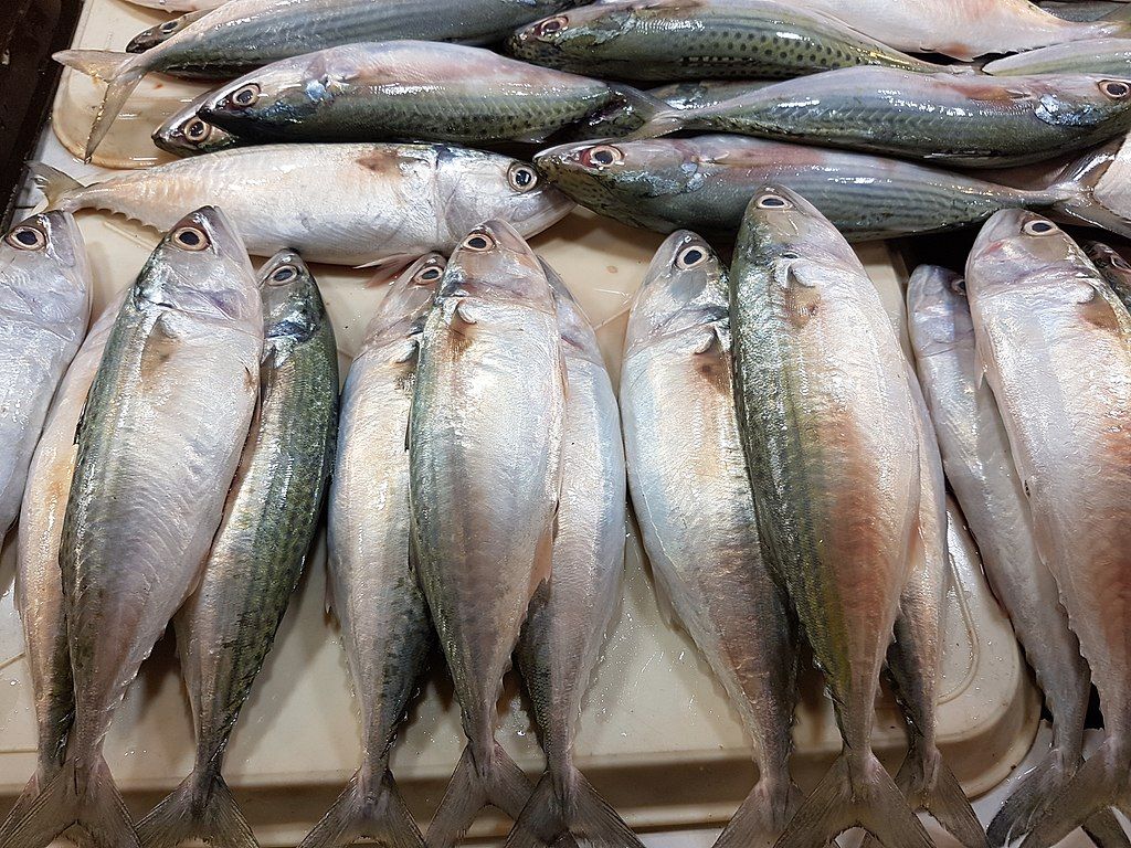Pilih Ikan Segar atau Kalengan? Simak Tips Sehatnya
